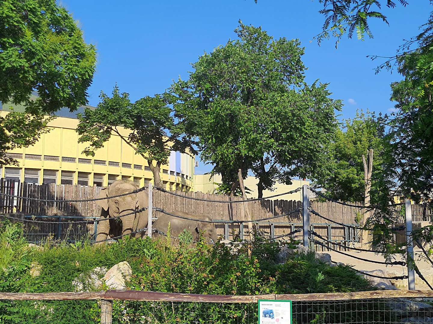Asian Elephant enclosure