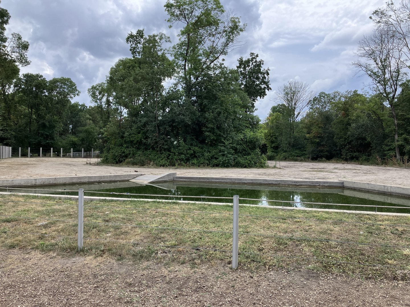 Asian elephant enclosure