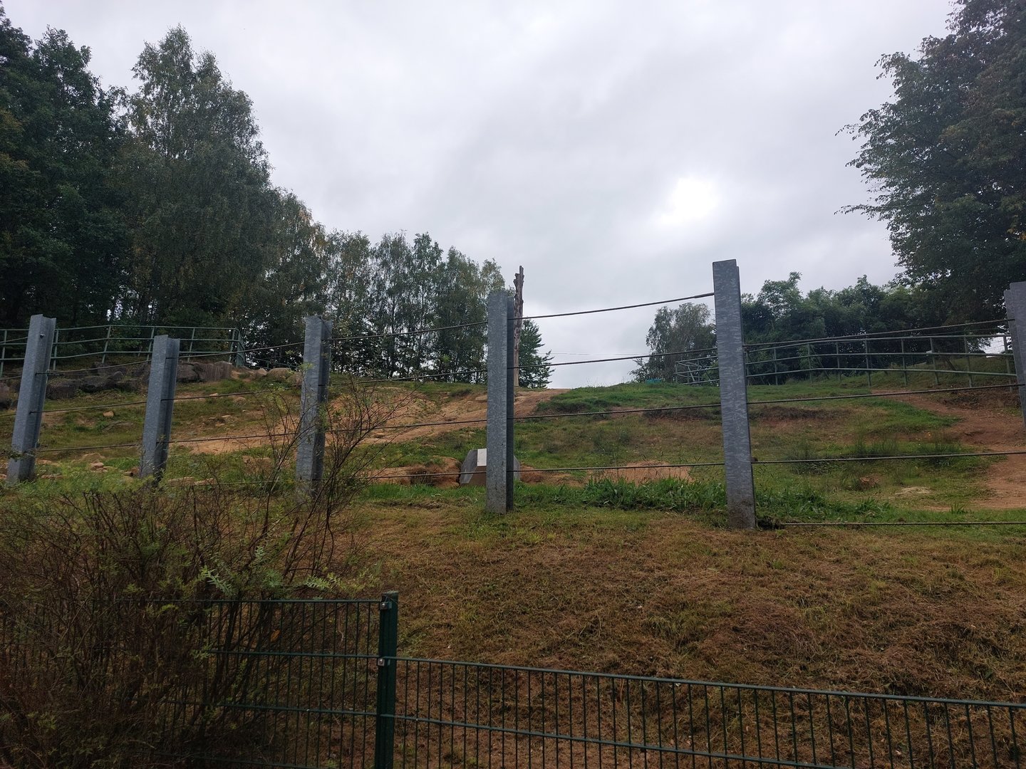 Asian elephant enclosure