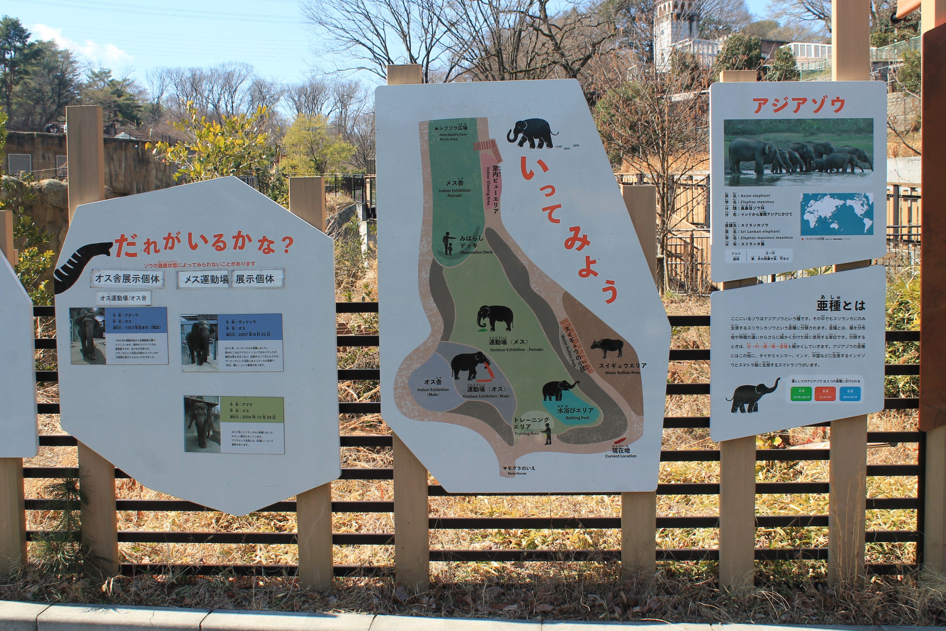 Asian Elephant enclosure