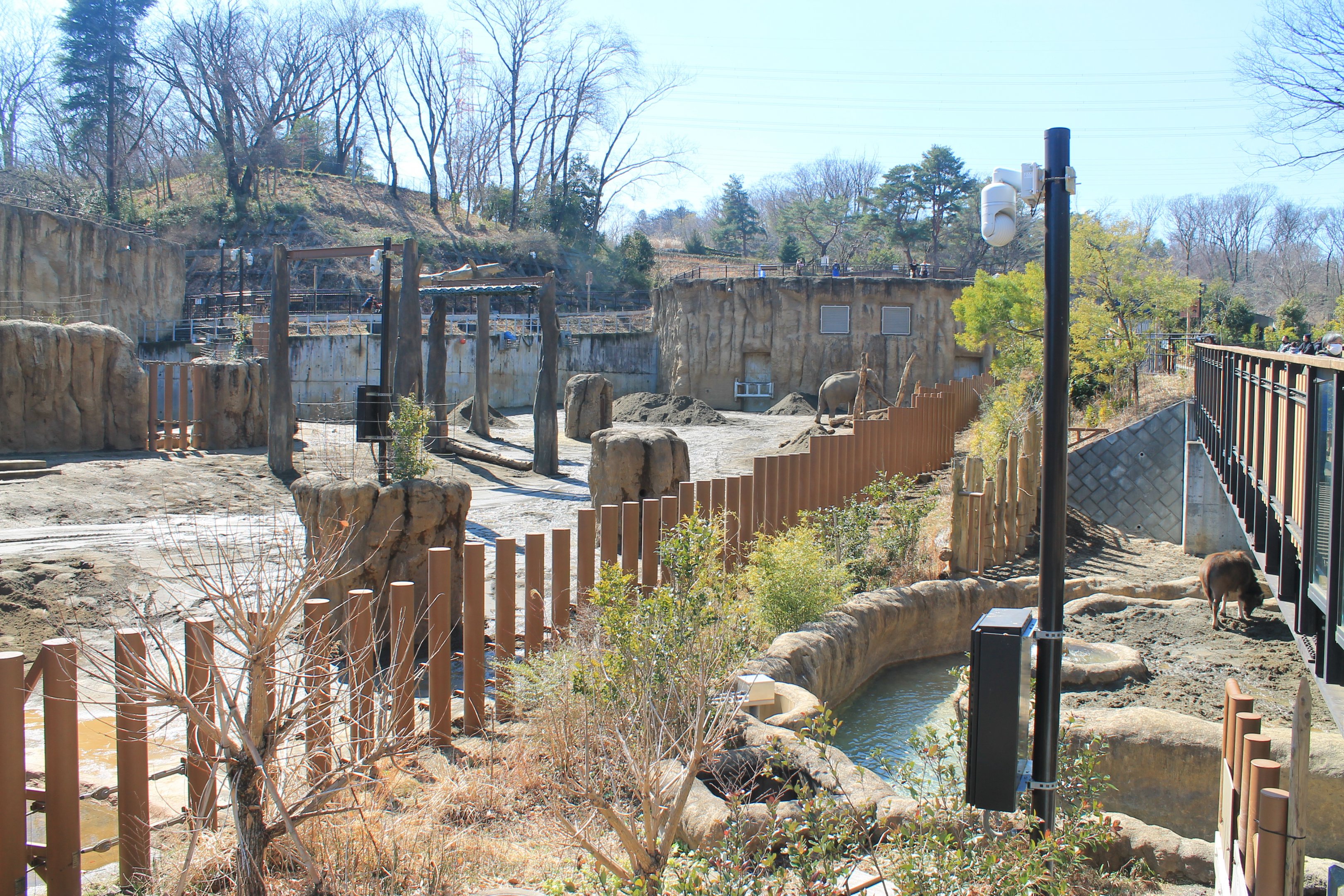 Asian Elephant enclosure