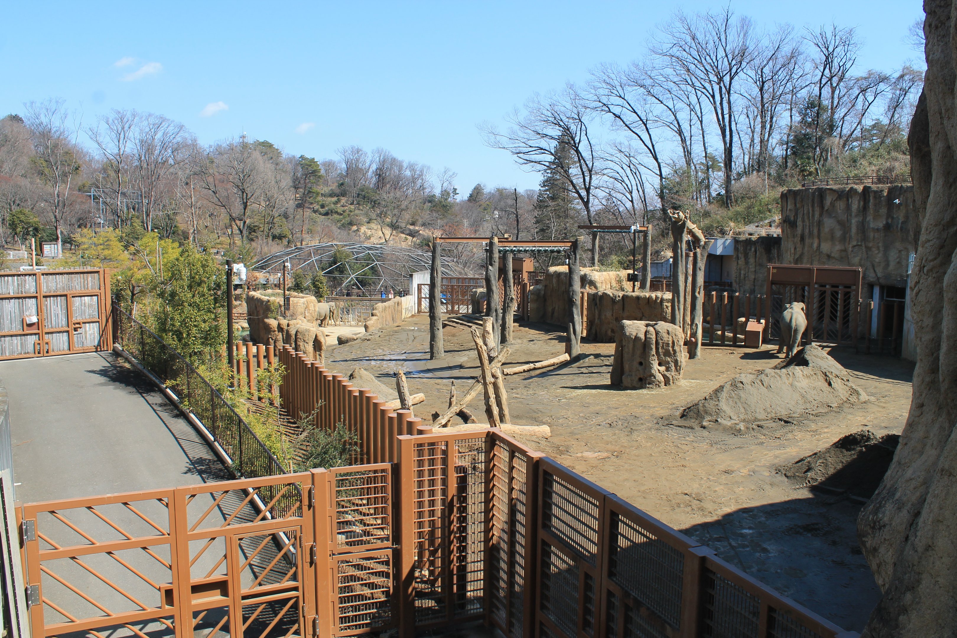 Asian Elephant enclosure