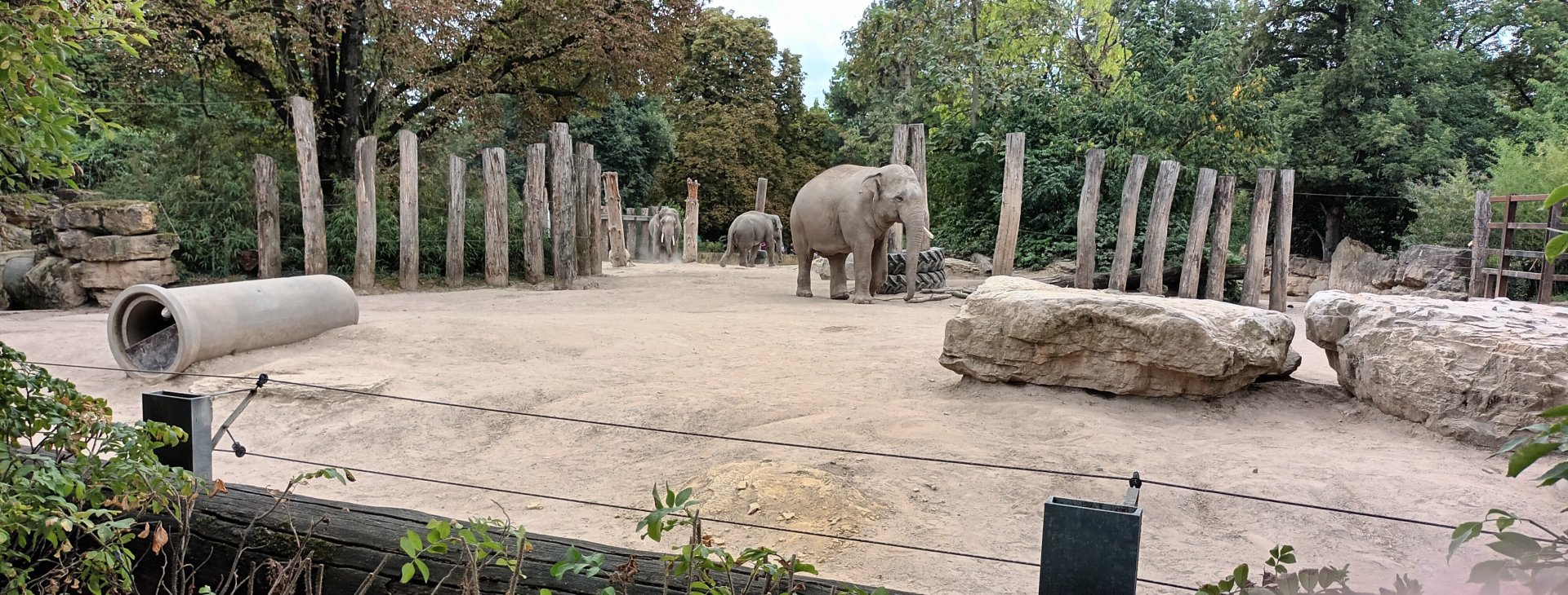Asian Elephant Enclosure