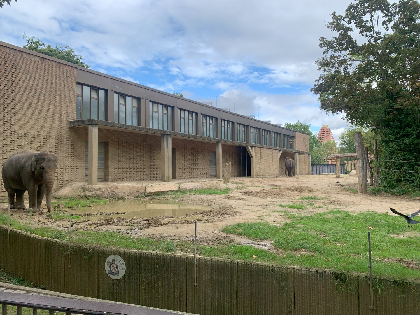Asian Elephant enclosure