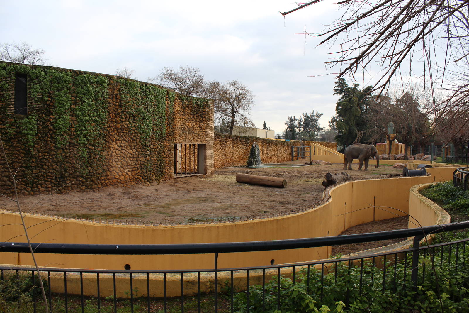 Asian Elephant Enclosures - Jan 2014