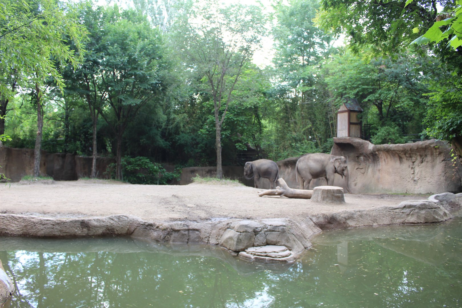 Asian Elephant Exhibit #1 - Rivers Edge