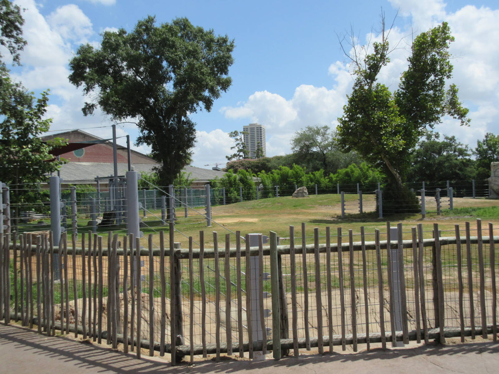 Asian Elephant Exhibit #1