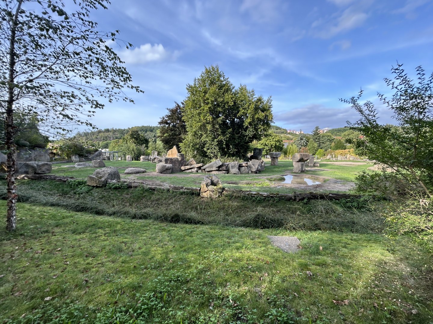 Asian Elephant Exhibit #1