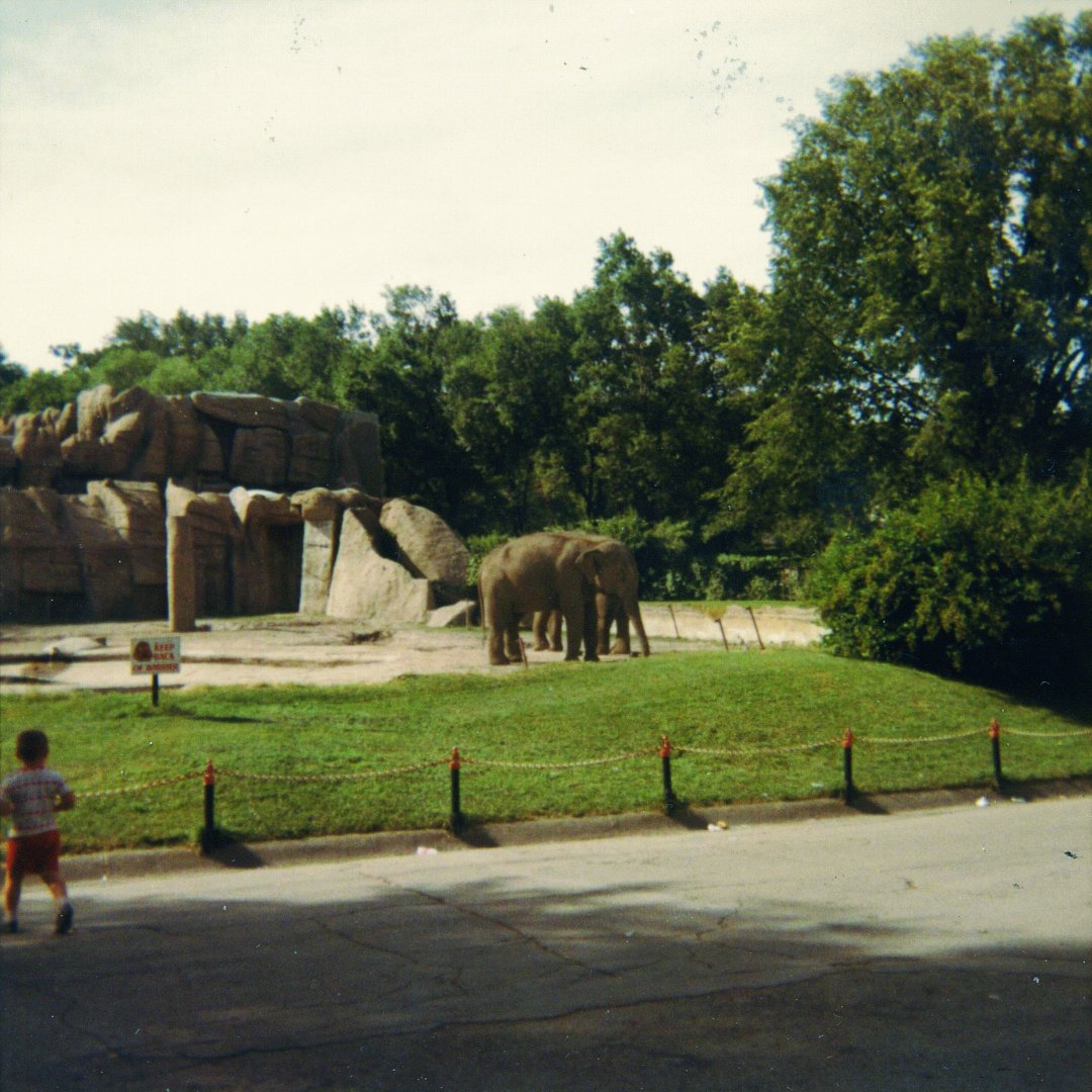 Asian Elephant Exhibit 1966