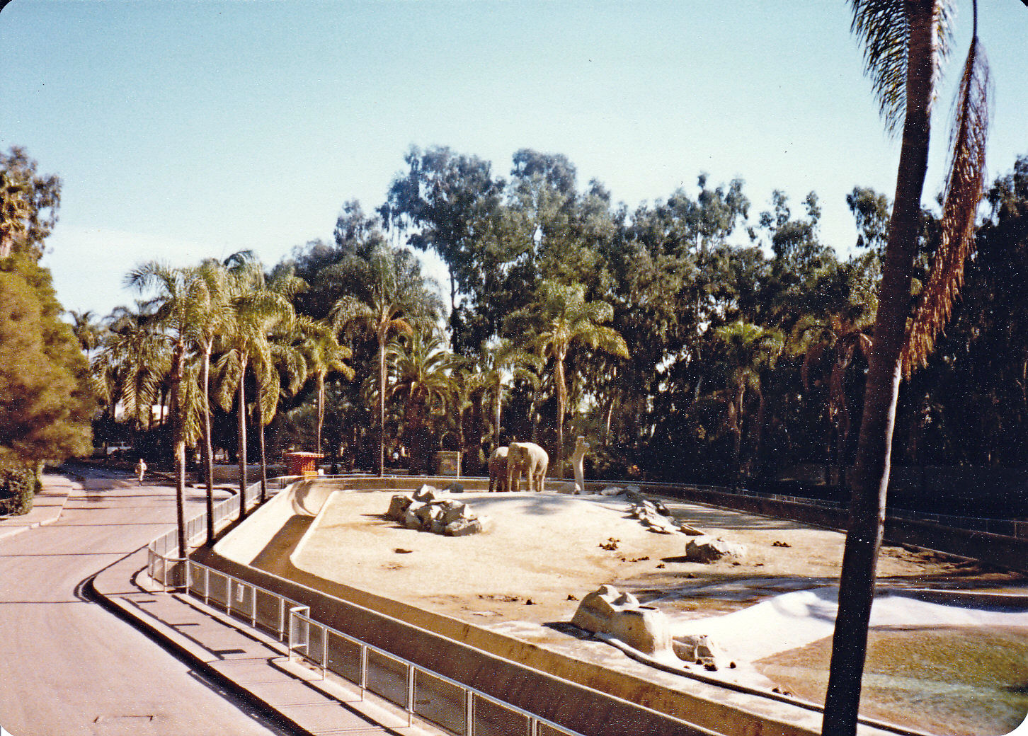 Asian Elephant exhibit - 1981
