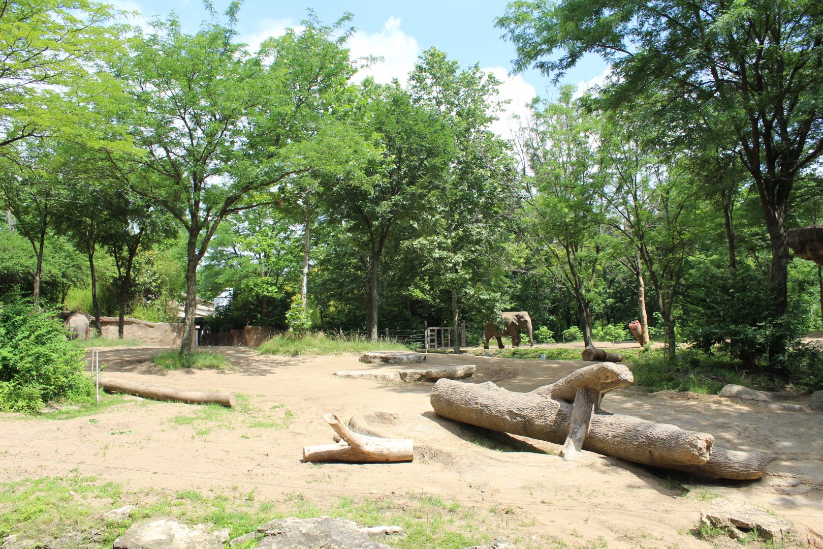Asian Elephant Exhibit #2 - Rivers Edge