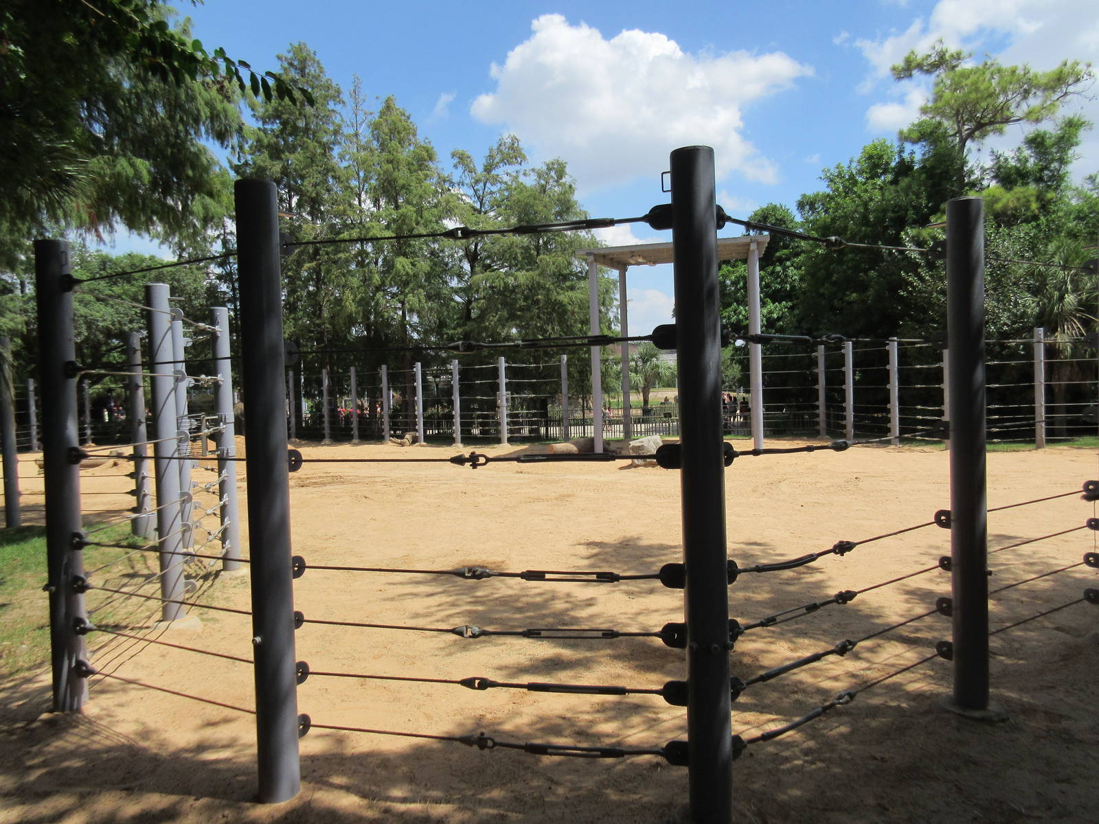 Asian Elephant Exhibit #2