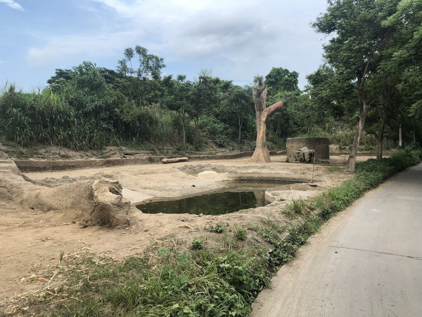 Asian Elephant Exhibit #2