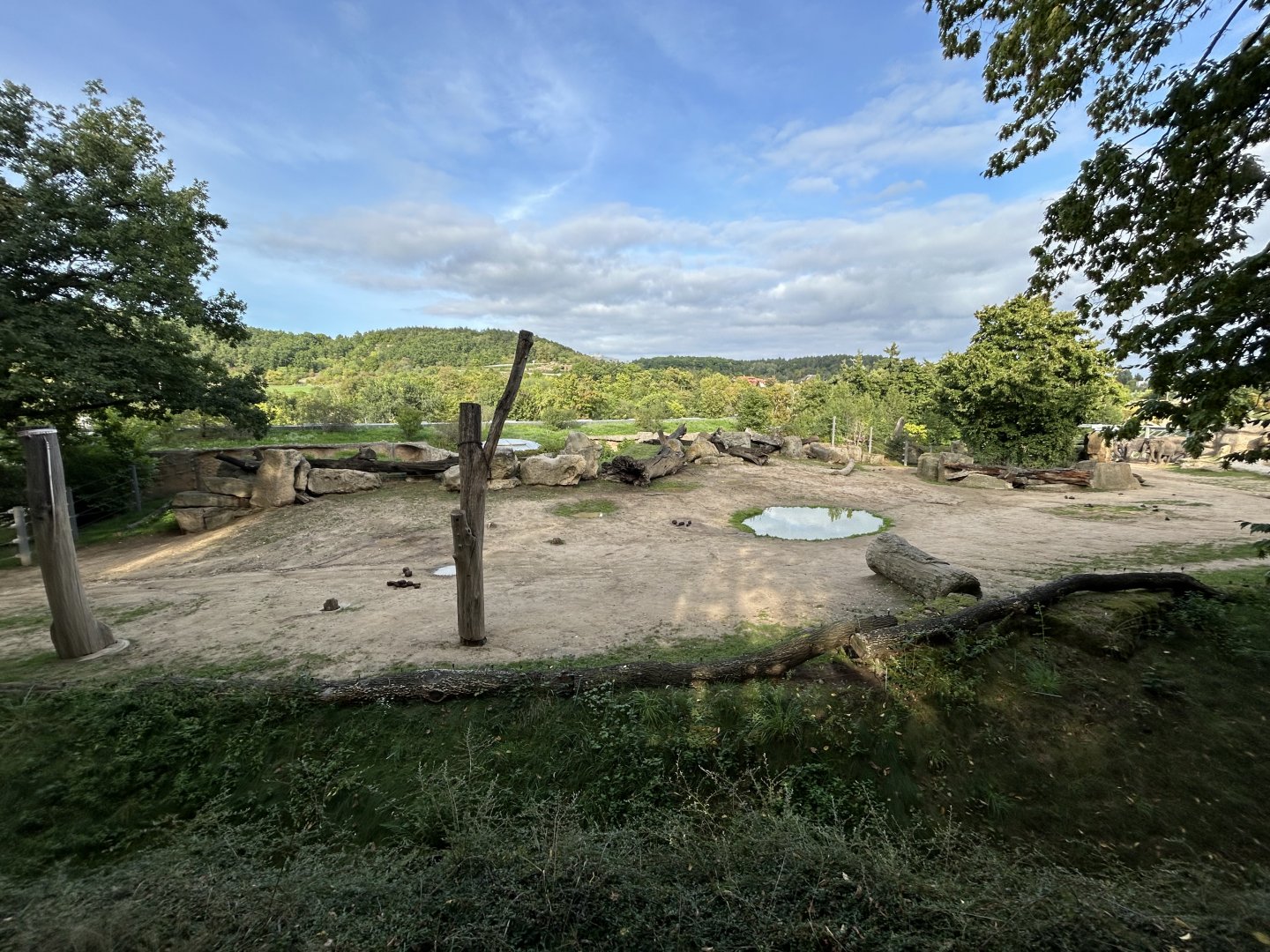Asian Elephant Exhibit #2