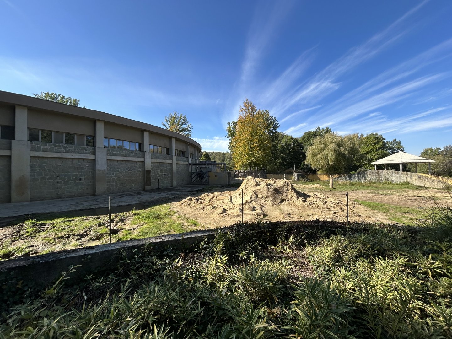 Asian Elephant Exhibit #2