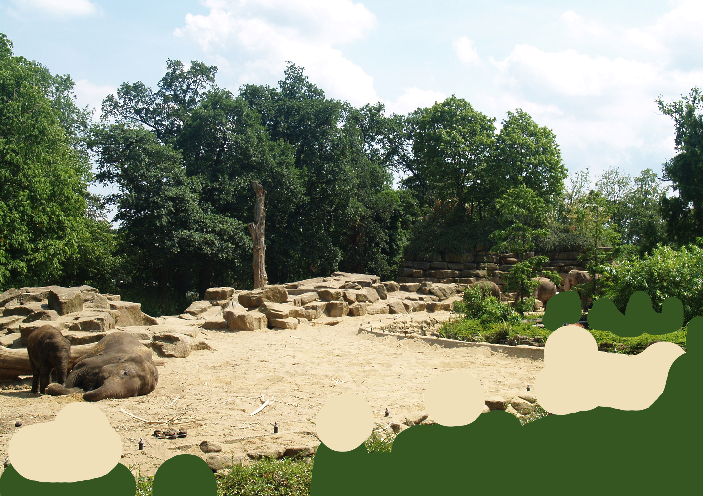 Asian elephant exhibit, 2006-07-08
