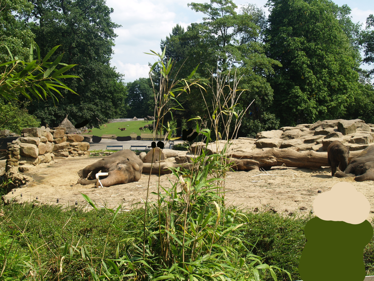 Asian elephant exhibit, 2006-07-08
