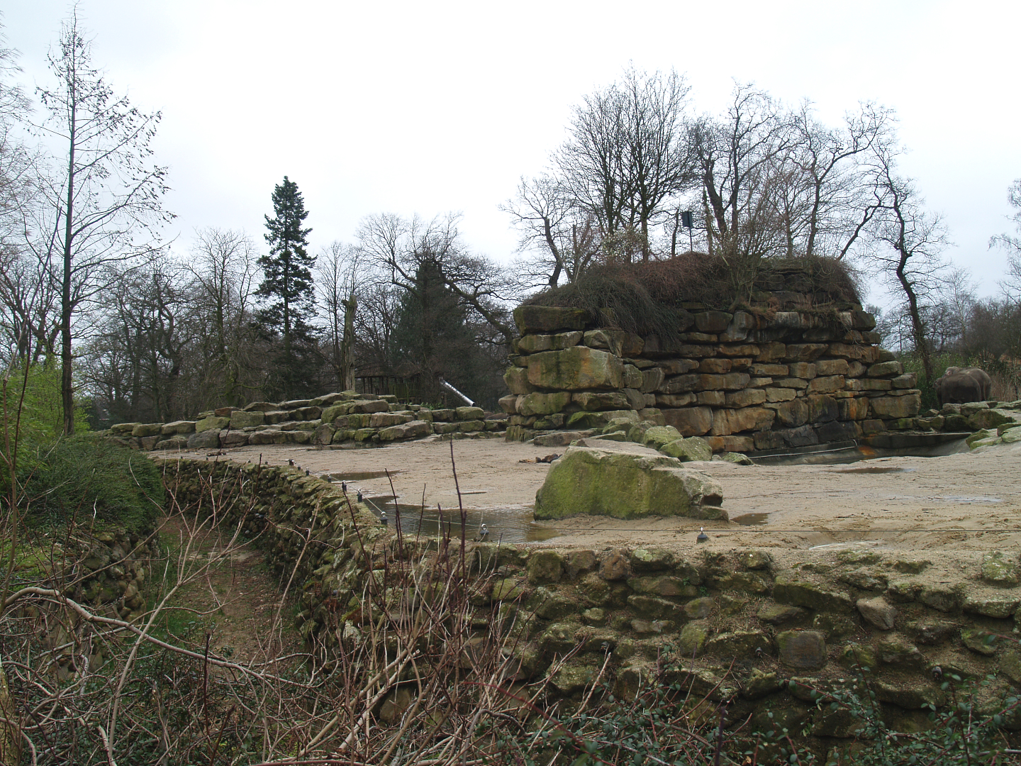 Asian elephant exhibit, 2008-03-01
