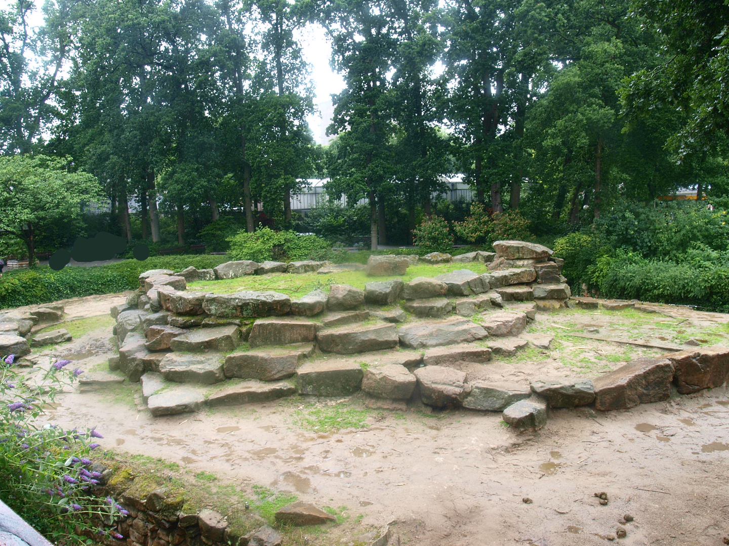 Asian elephant exhibit, 2015-07-19