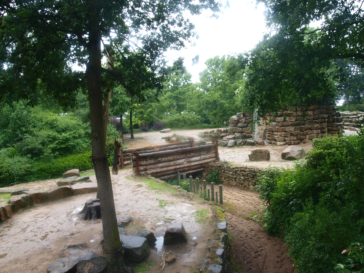 Asian elephant exhibit, 2015-07-19