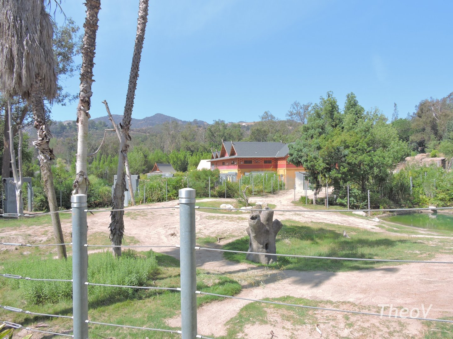 Asian elephant exhibit [2015]