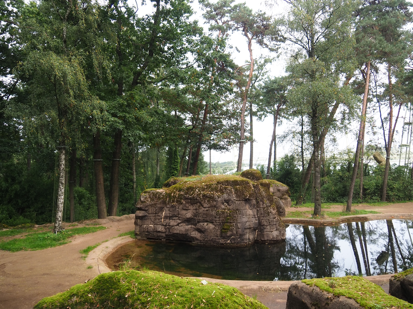 Asian elephant exhibit, 2023-10-07