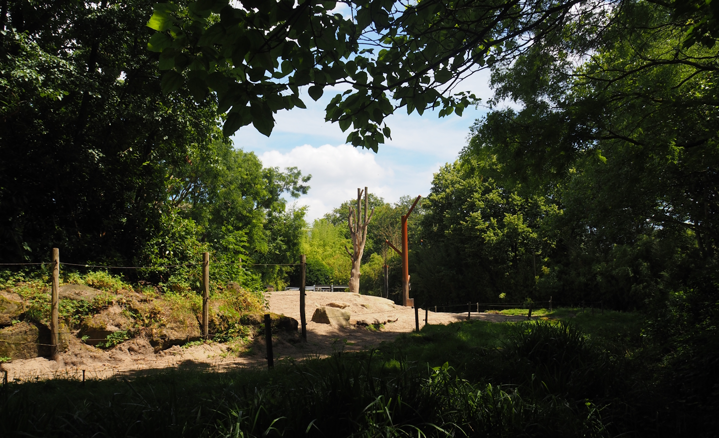Asian elephant exhibit, 2024-06-30