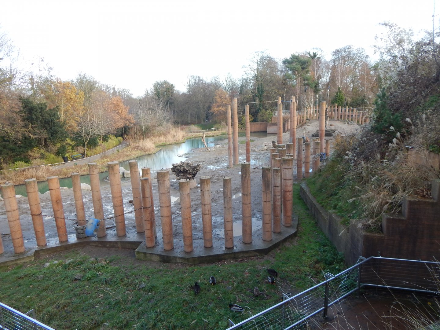 Asian elephant exhibit 261124