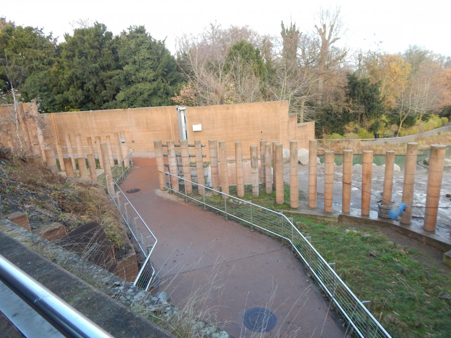 Asian elephant exhibit 261124