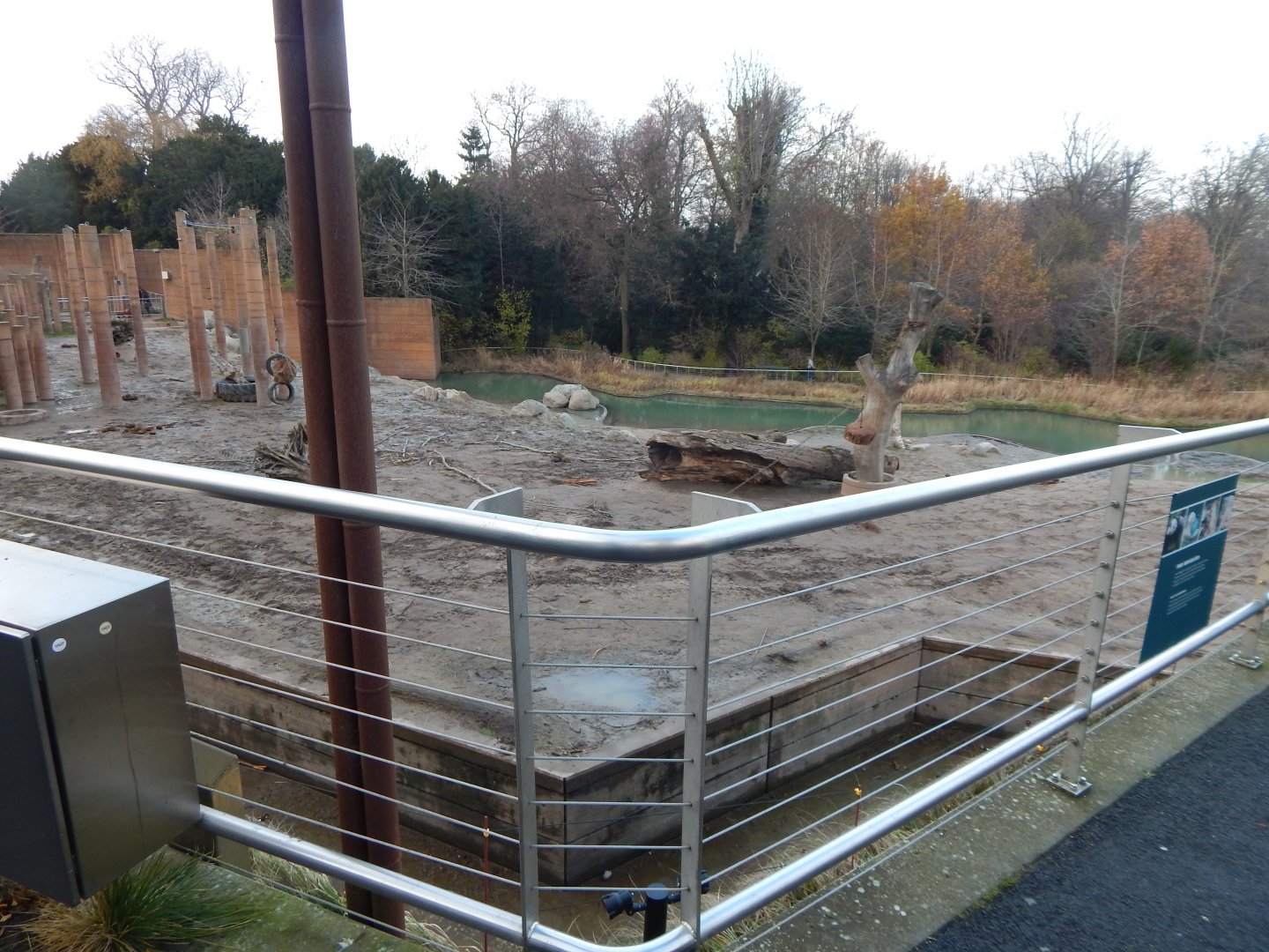 Asian elephant exhibit 261124