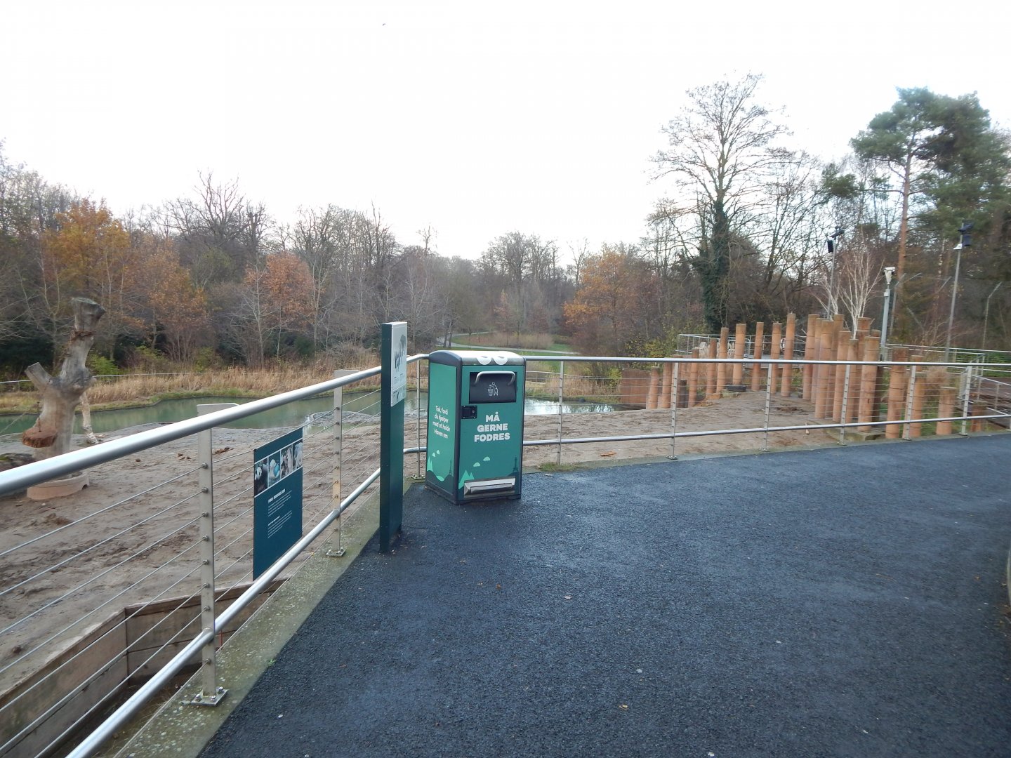 Asian elephant exhibit 261124