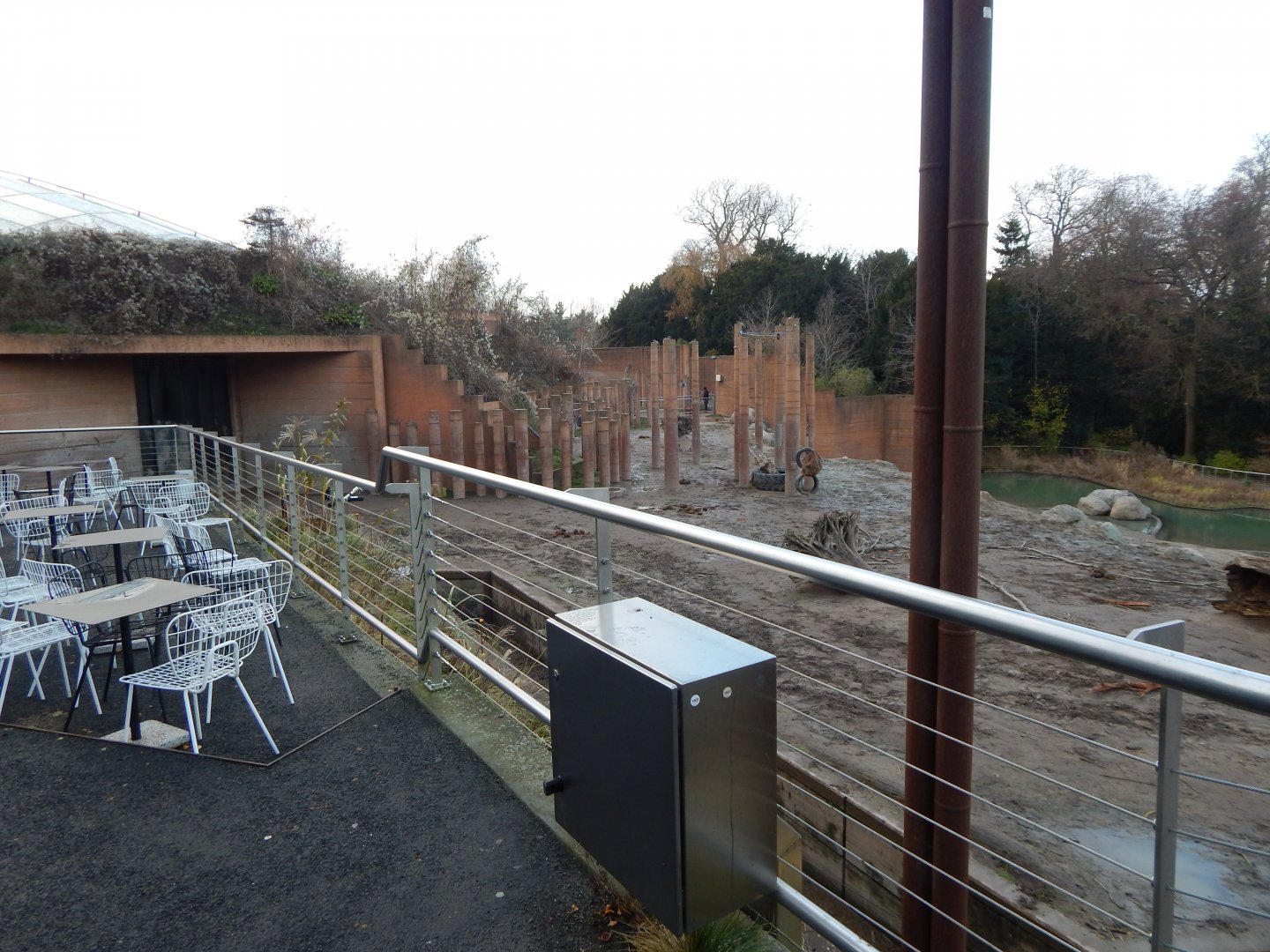 Asian elephant exhibit 261124