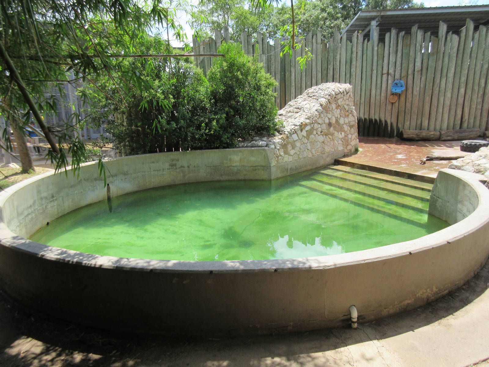 Asian Elephant Exhibit #3 - Pool