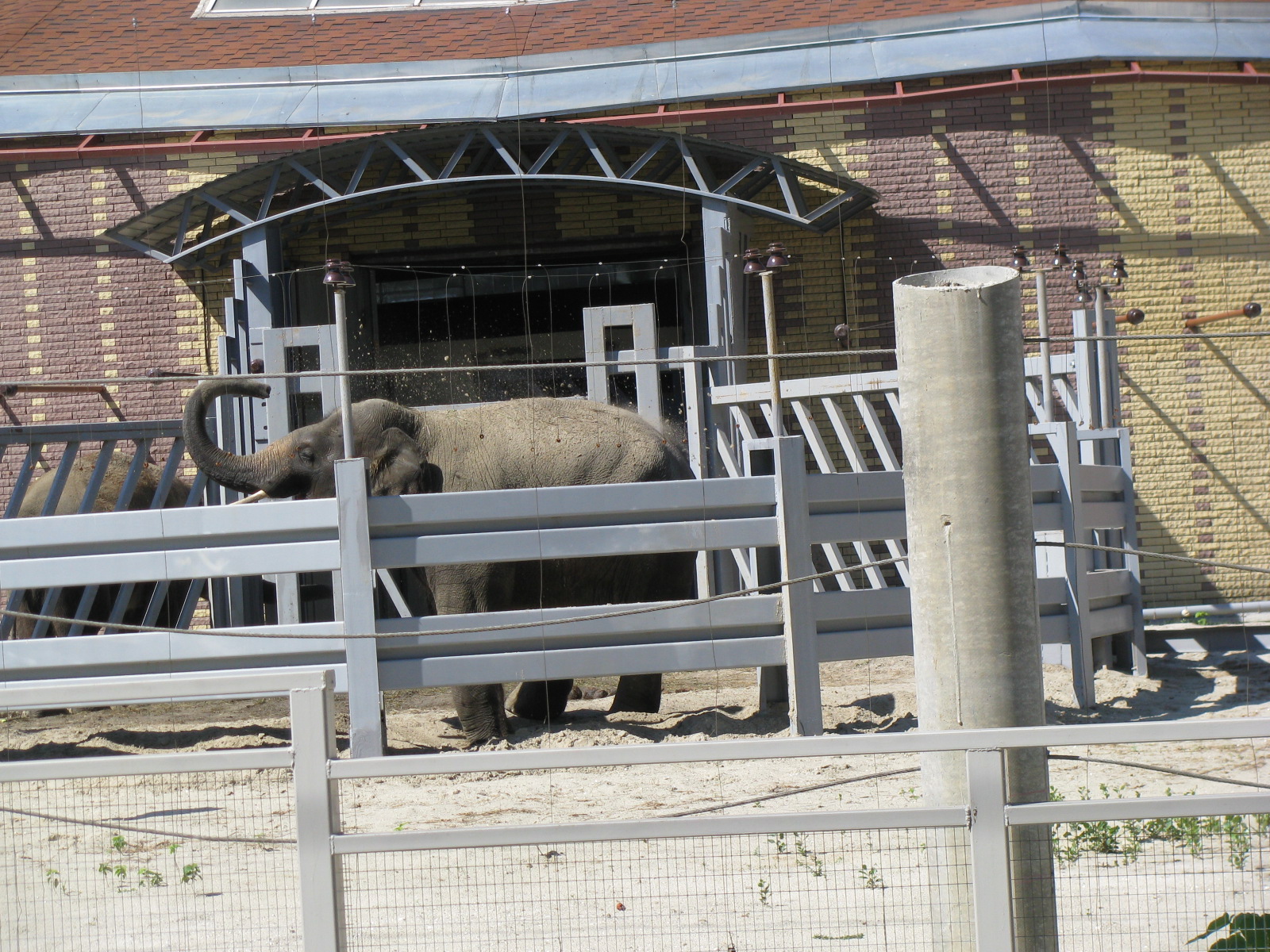 Asian elephant exhibit - animal entrance and rotation cage