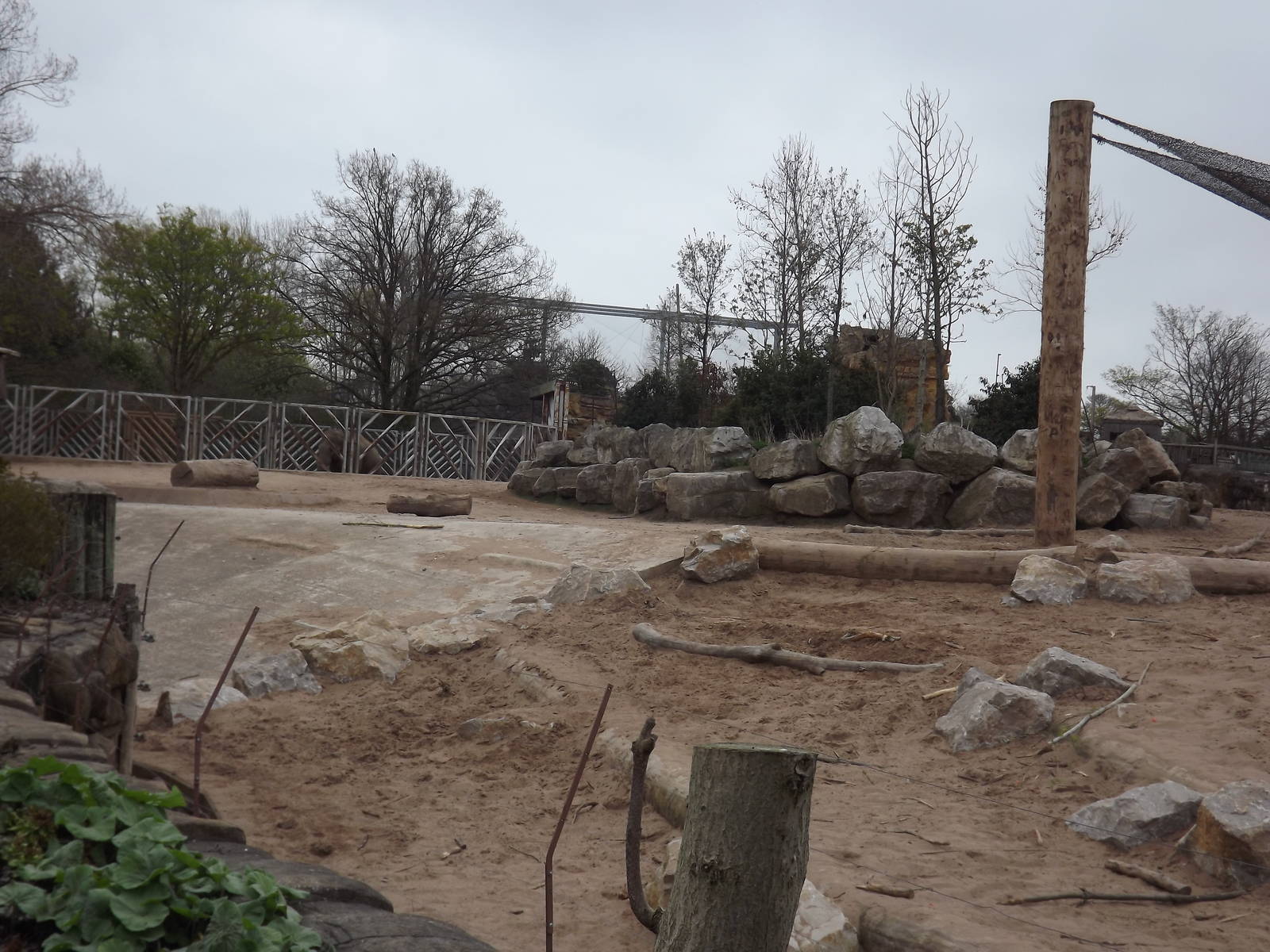 Asian Elephant exhibit at Chester Zoo 31/03/12