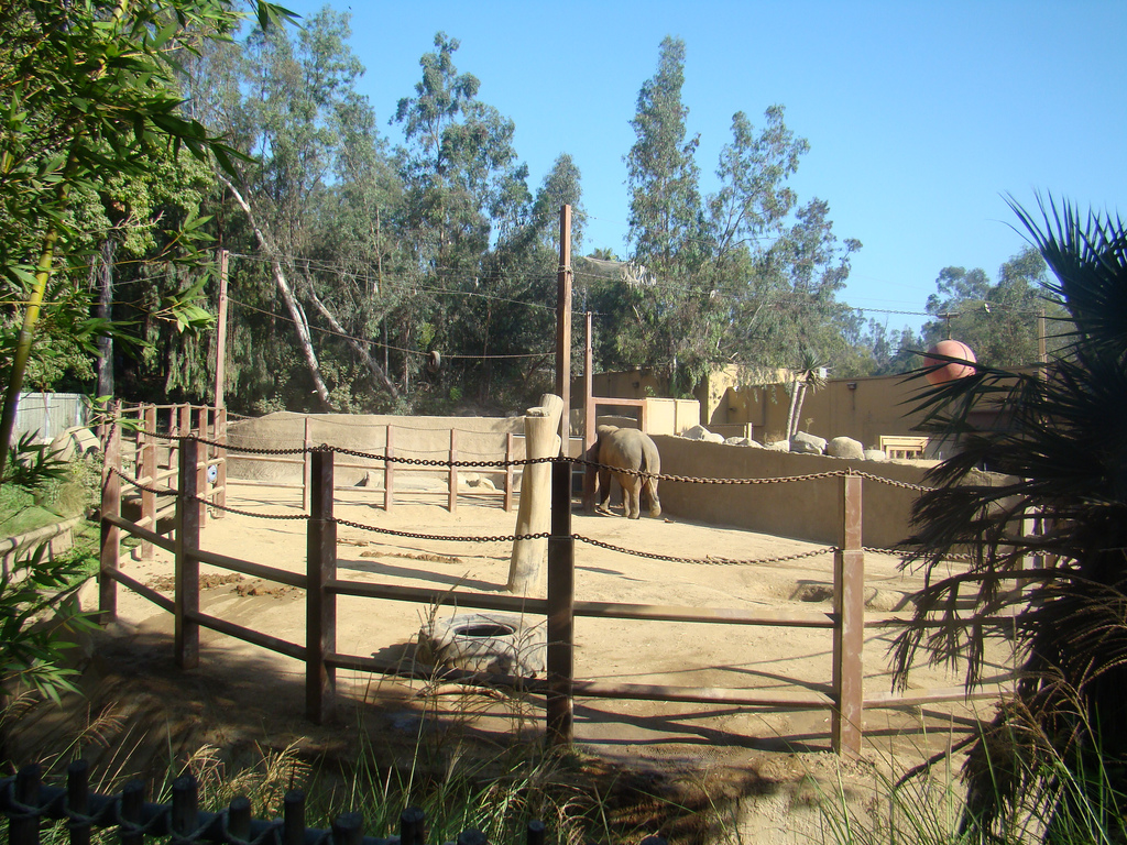 Asian Elephant exhibit at the Los Angeles Zoo