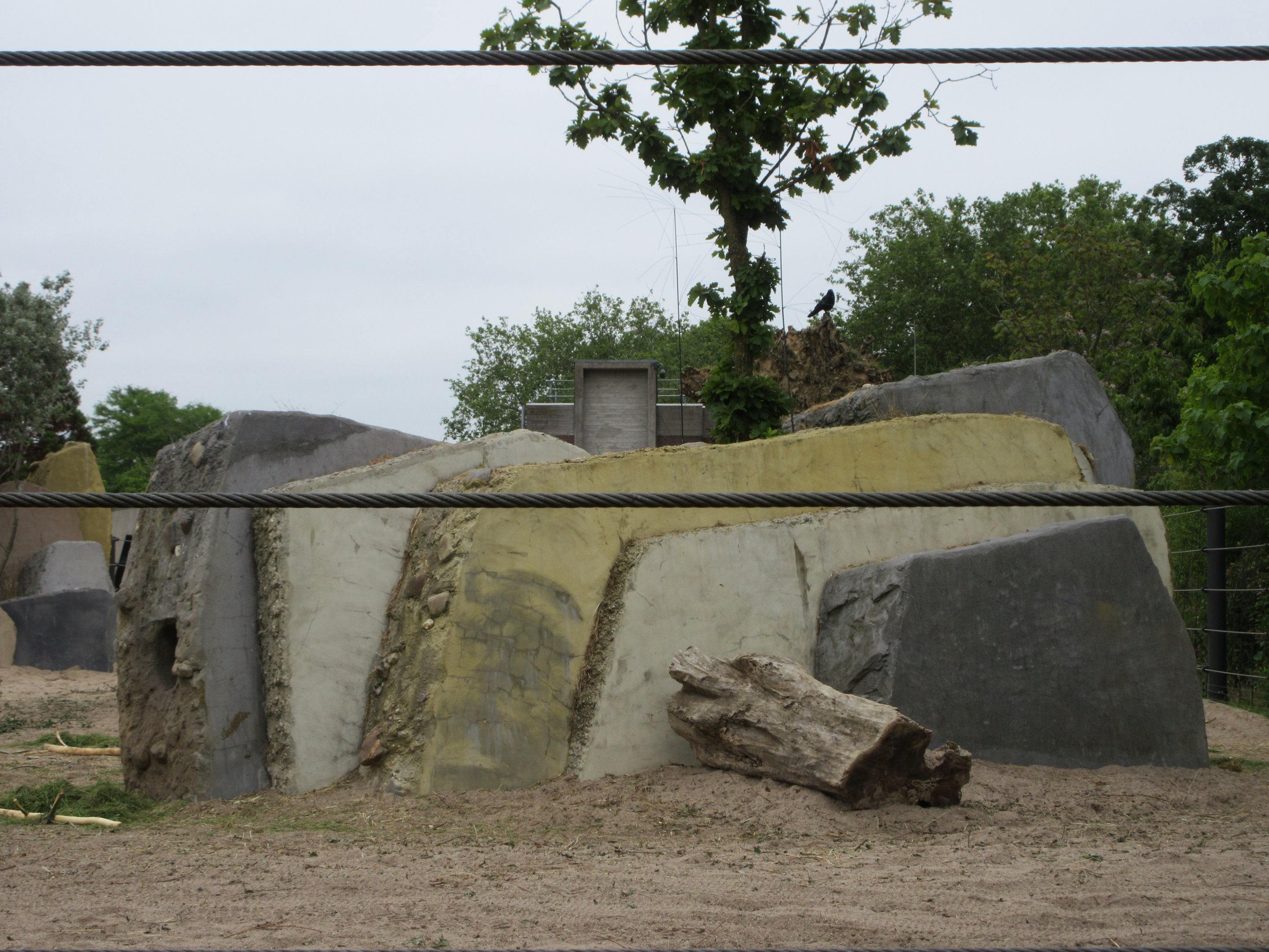 Asian Elephant Exhibit - baby elephant + weird cement structures