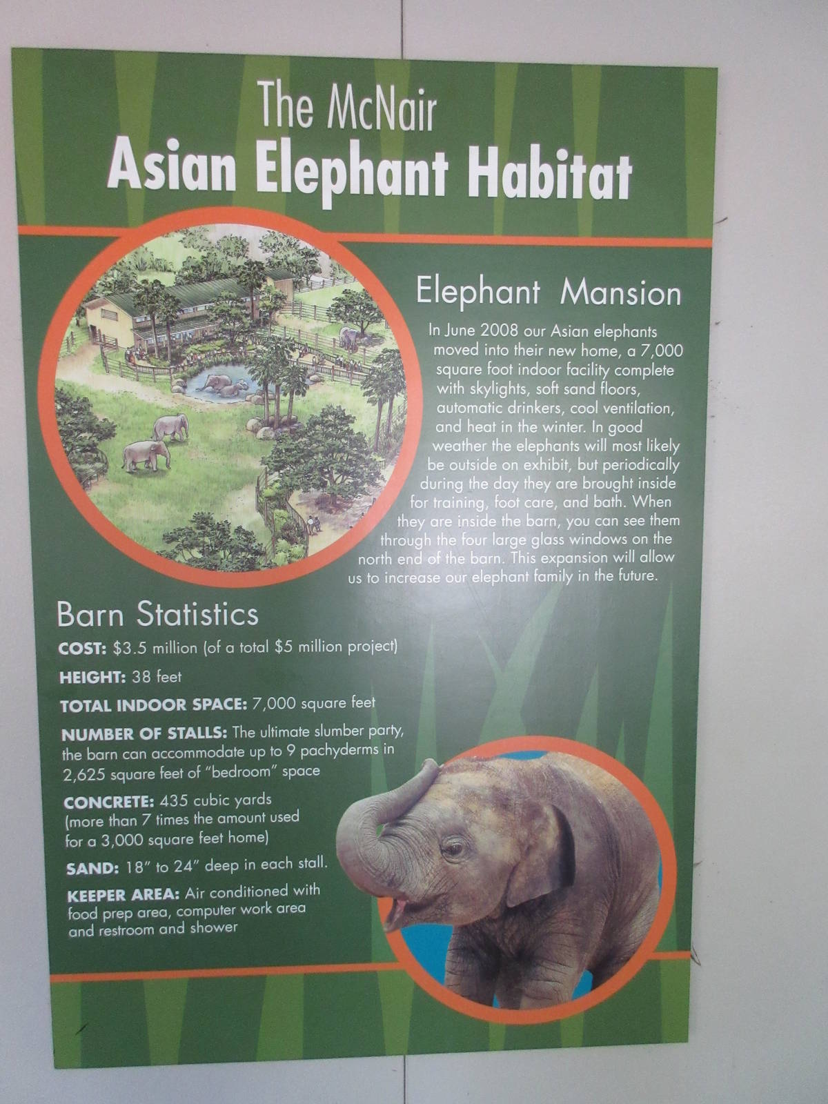 Asian Elephant Exhibit- Barn Facts