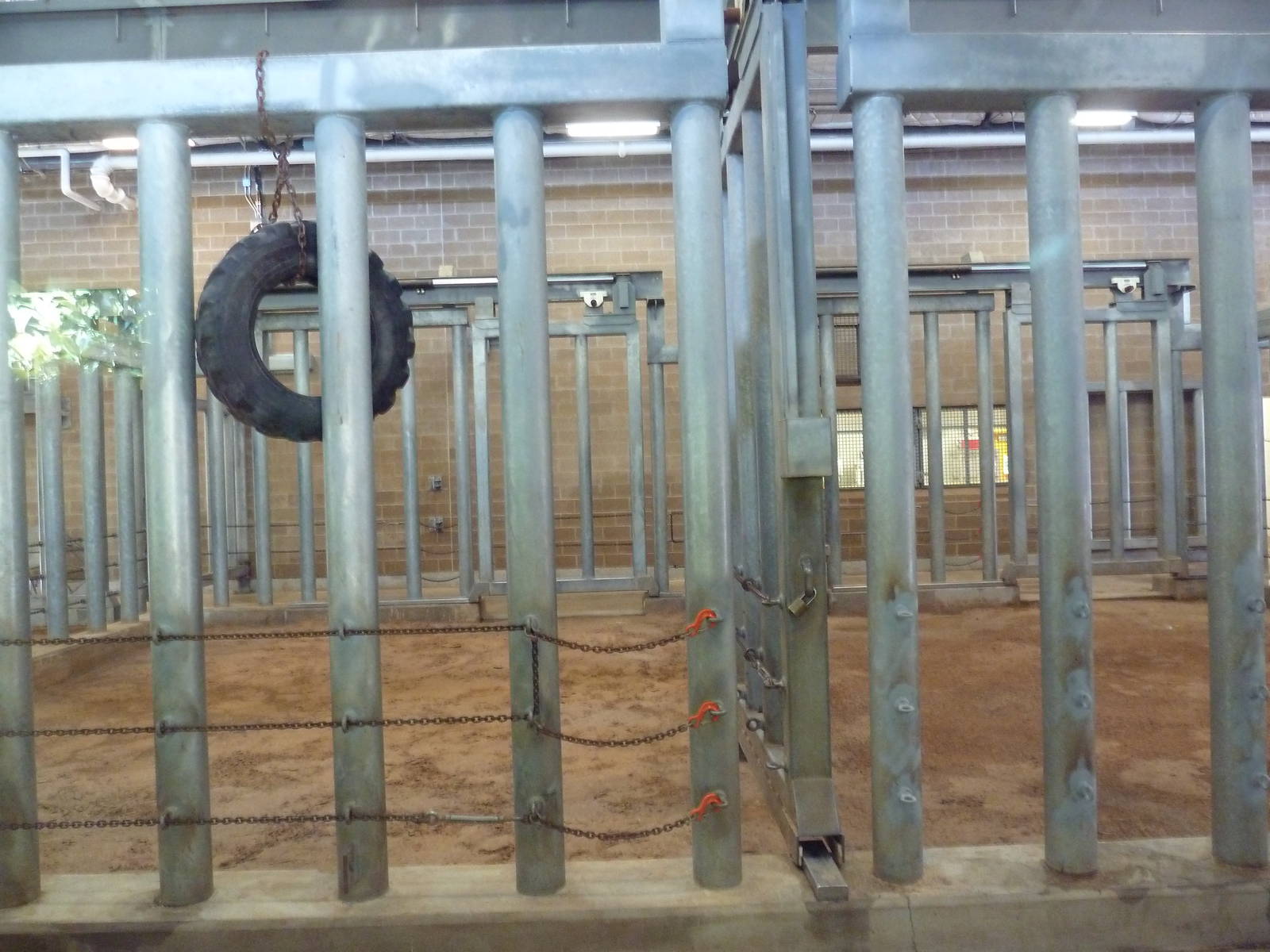 Asian Elephant Exhibit - Barn