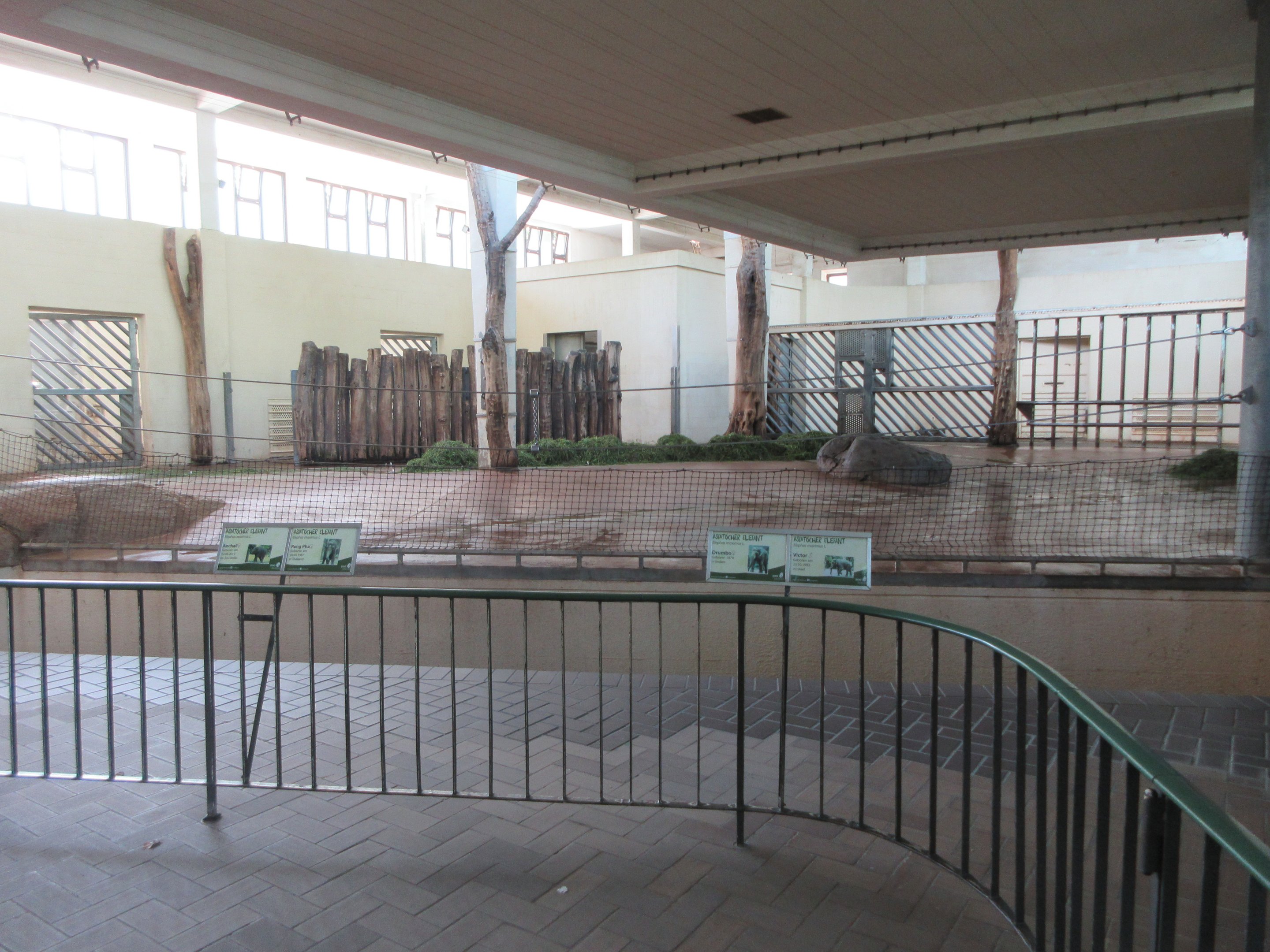 Asian Elephant Exhibit - Barn