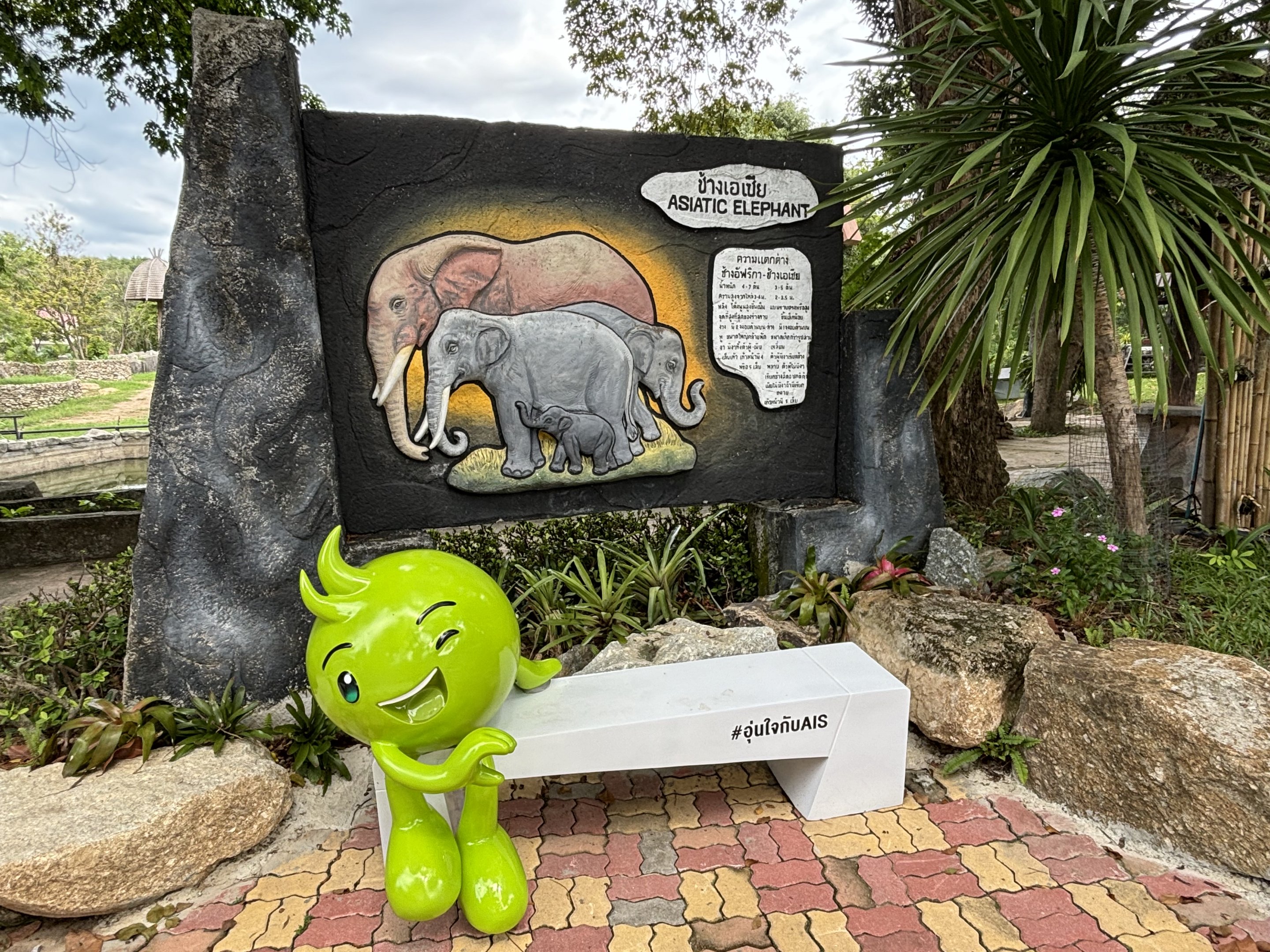 Asian Elephant Exhibit - bench