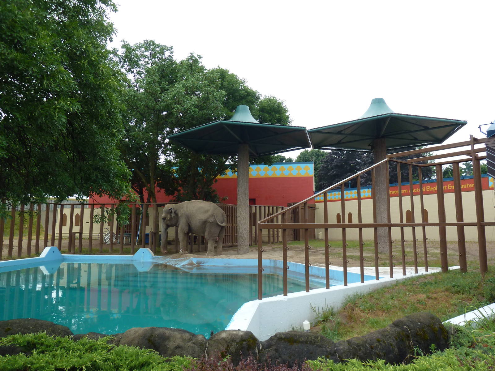Asian Elephant Exhibit - Bull Paddock