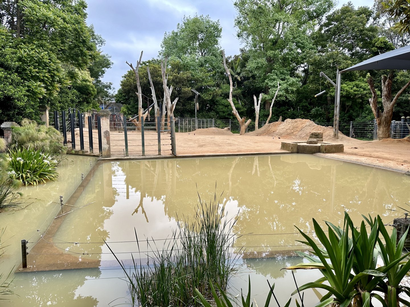 Asian Elephant Exhibit (Bull Paddock)