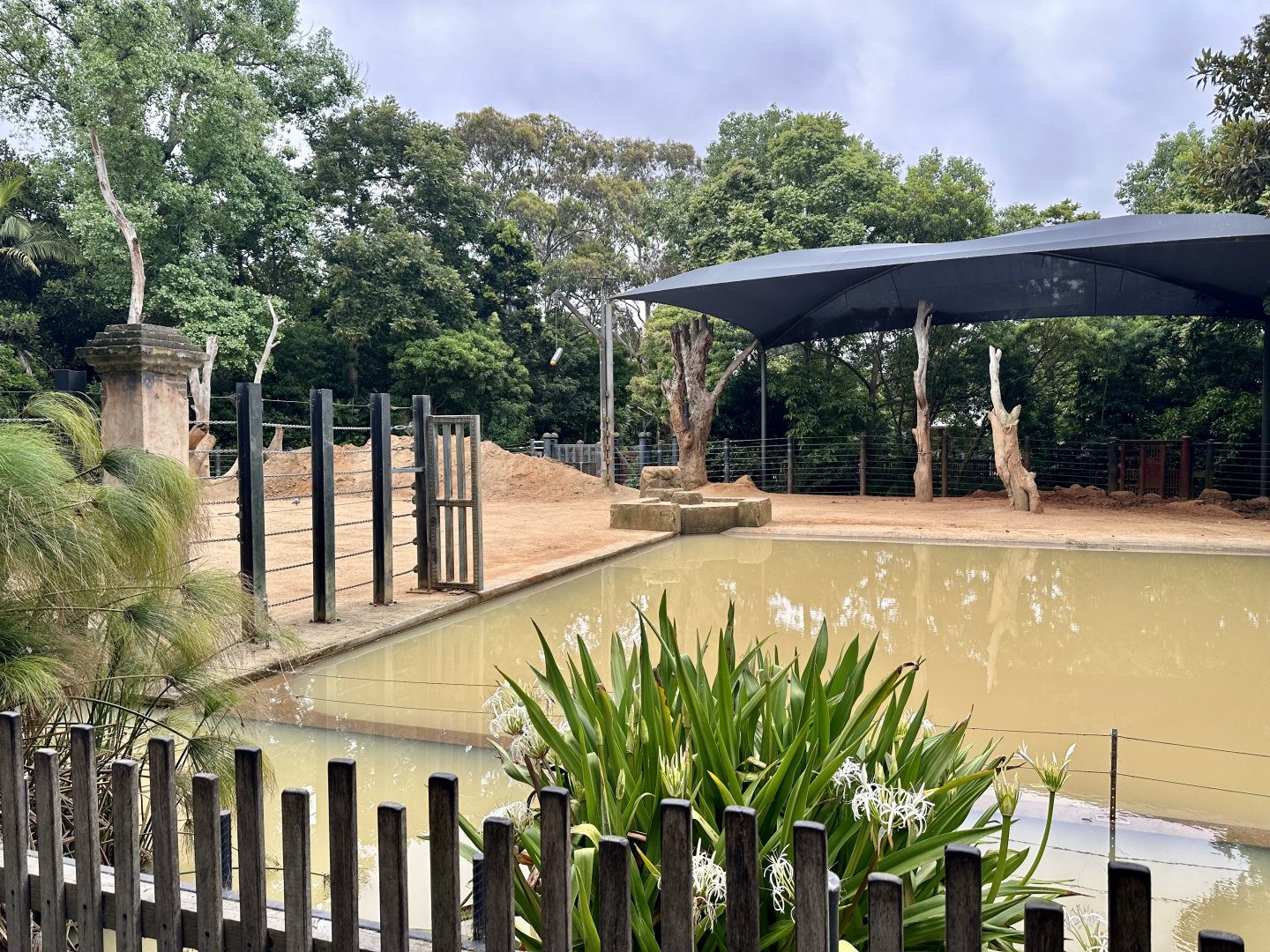 Asian Elephant Exhibit (Bull Paddock)