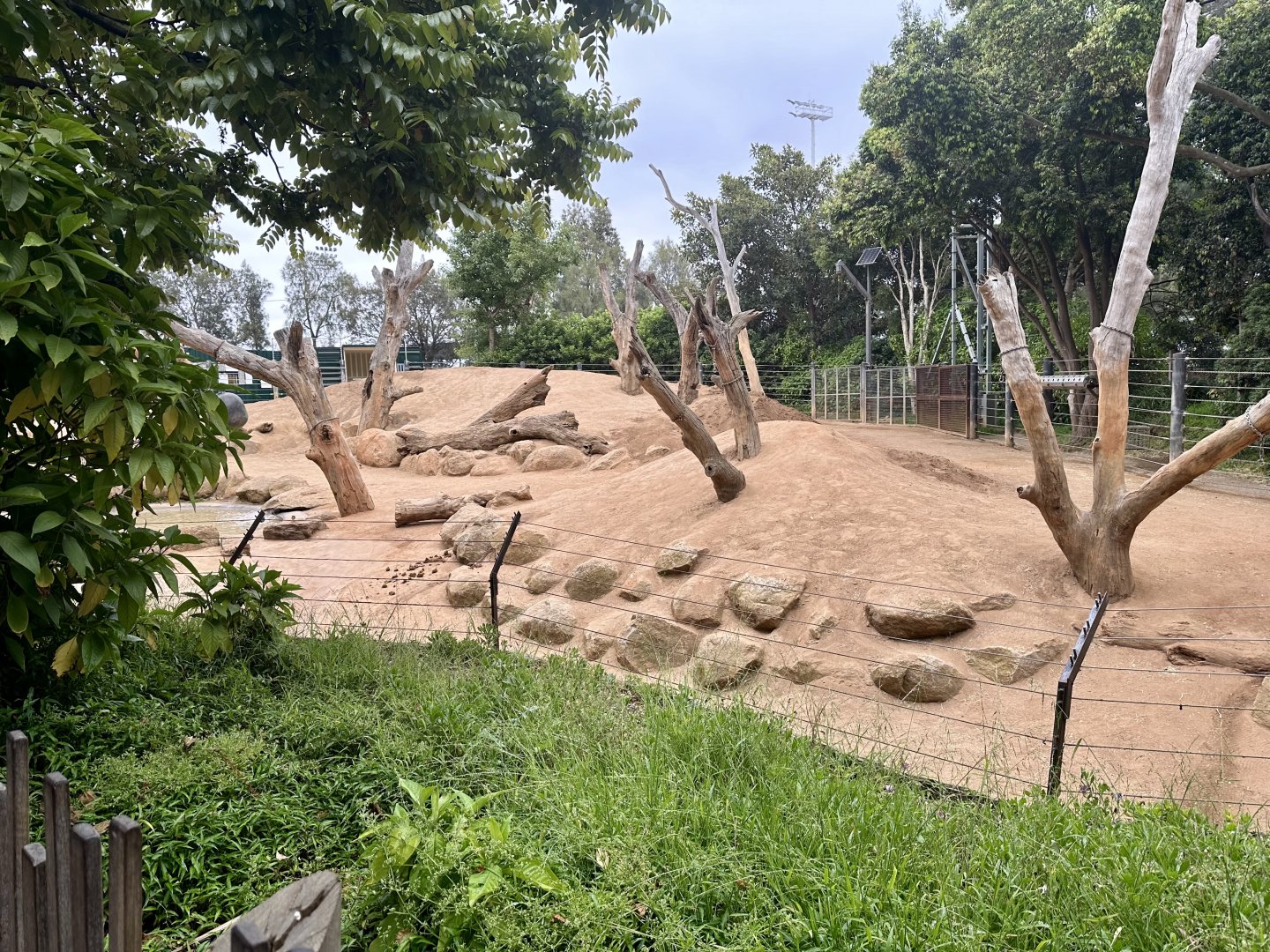 Asian Elephant Exhibit (Cow Paddock)