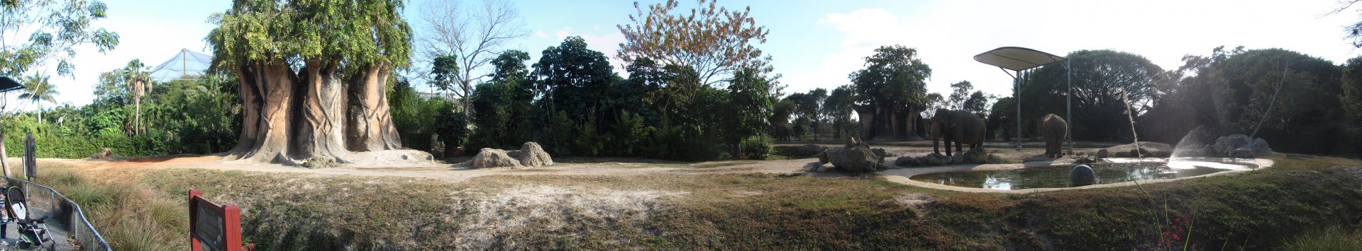 Asian Elephant Exhibit Front View Panorama