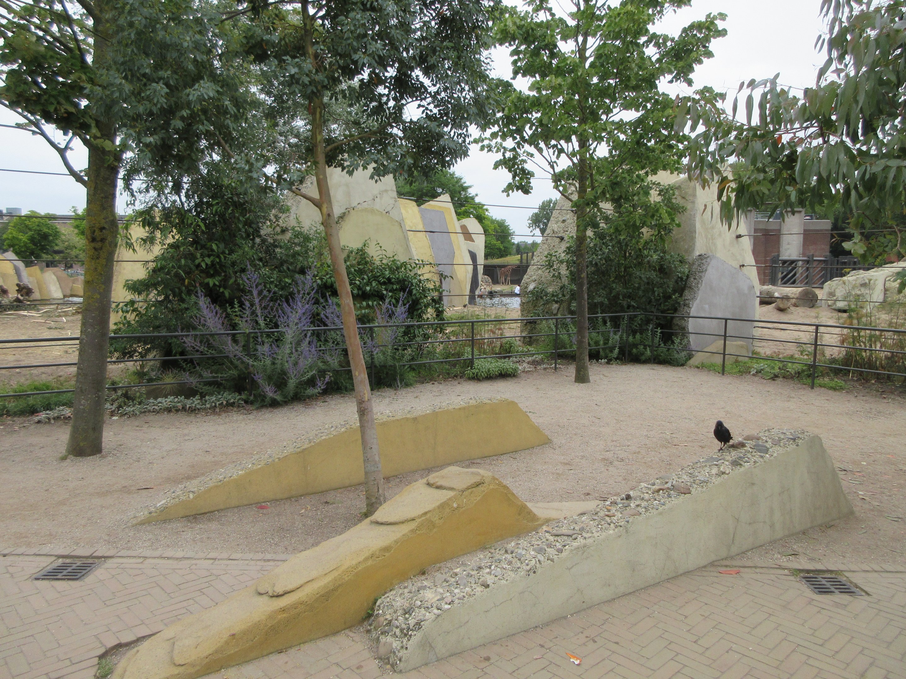 Asian Elephant Exhibit - immersive cement structures on visitor side