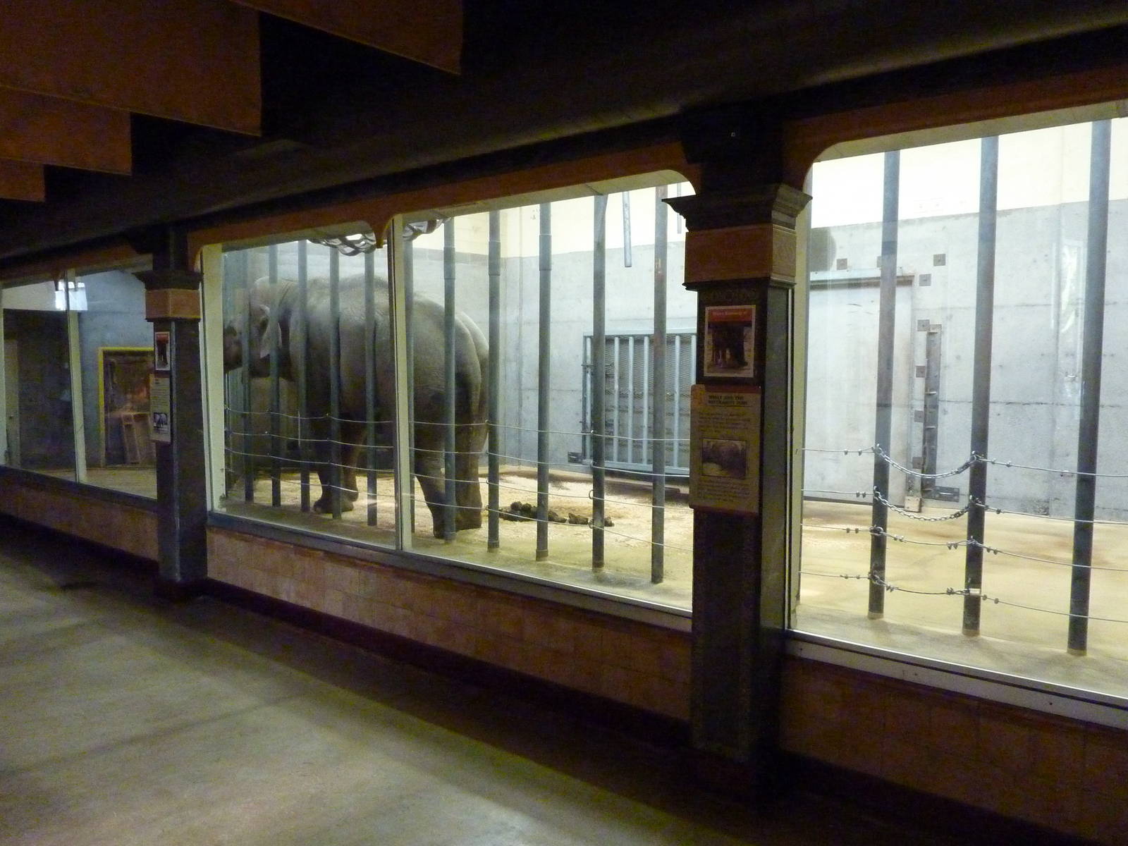 Asian Elephant Exhibit - Indoor Viewing