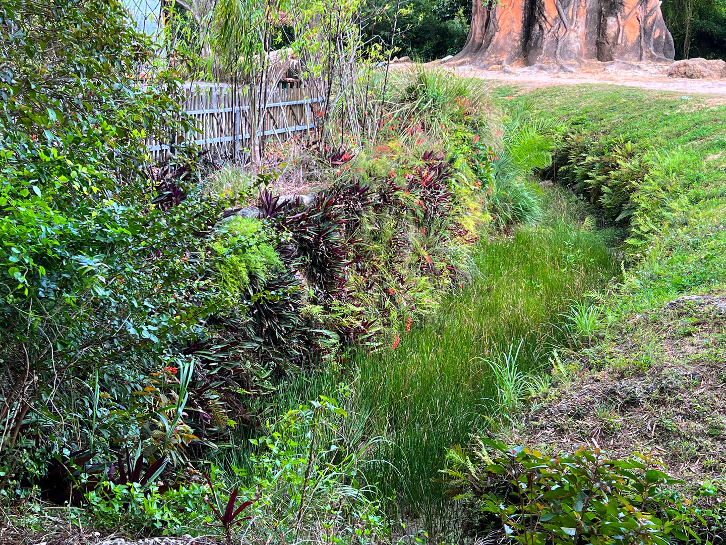 Asian Elephant Exhibit Moat
