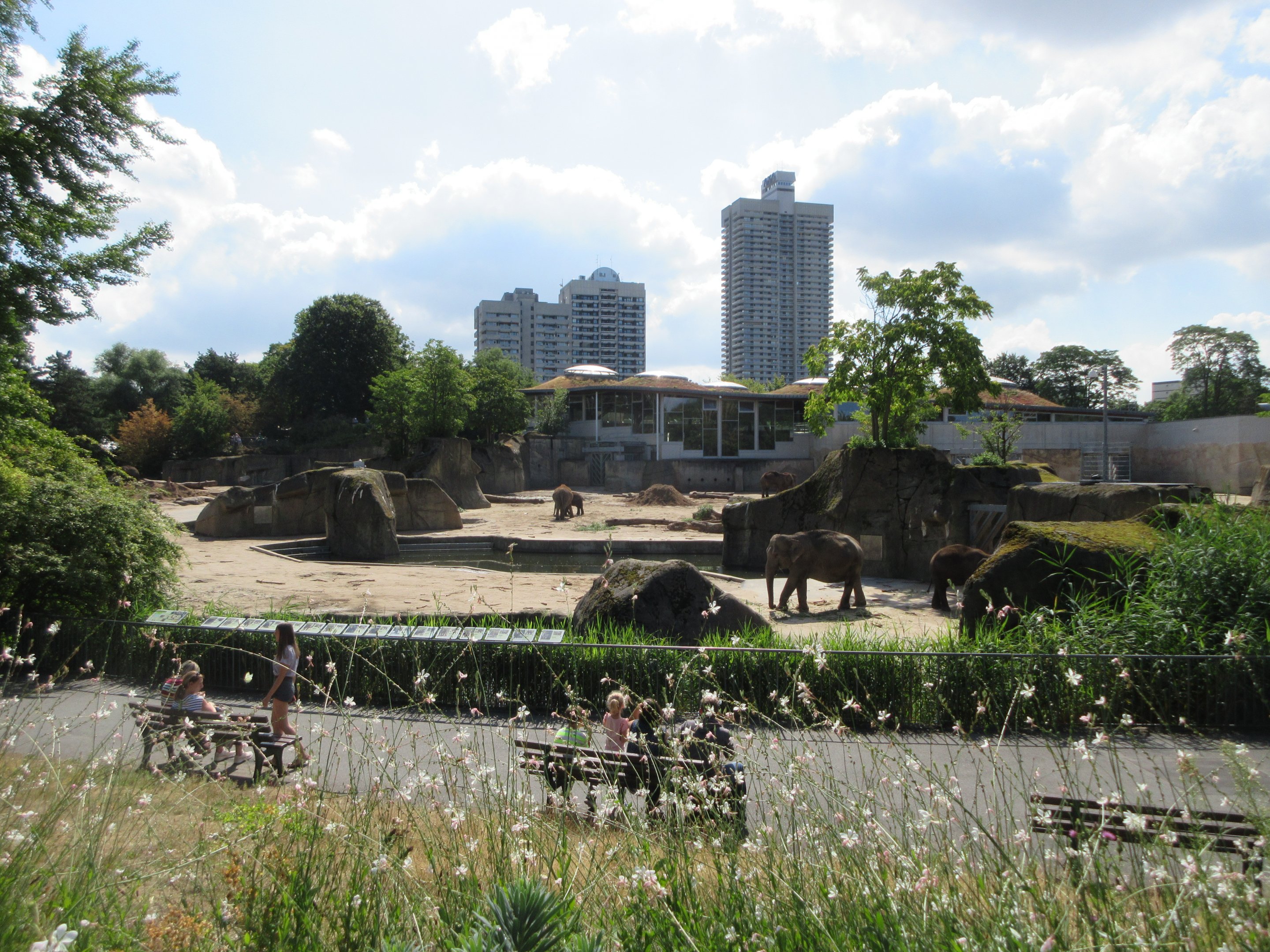 Asian Elephant Exhibit - multiple viewing areas